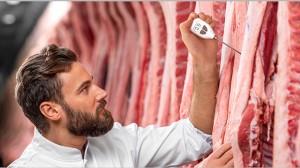 Stabthermometer / -40°C bis +230°C