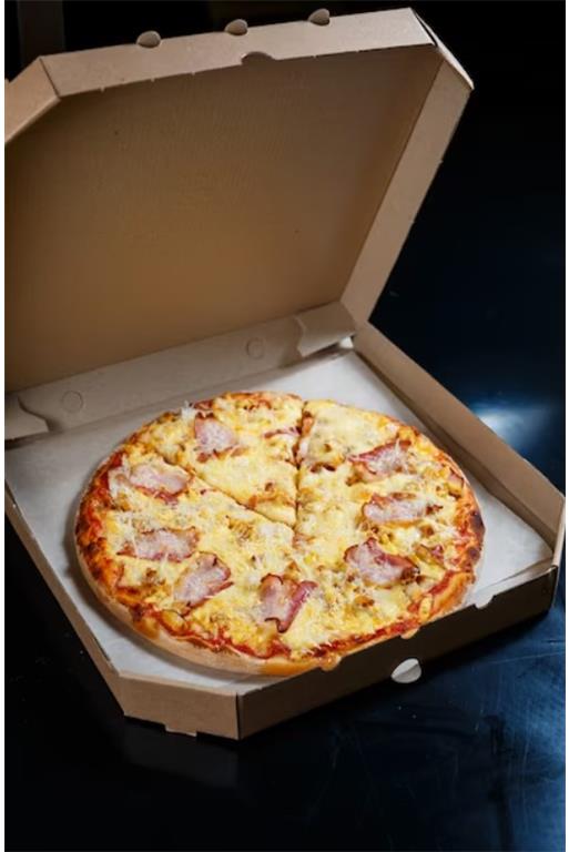 Pizzakarton / 30x30x4cm / 100Stk / Kraft
