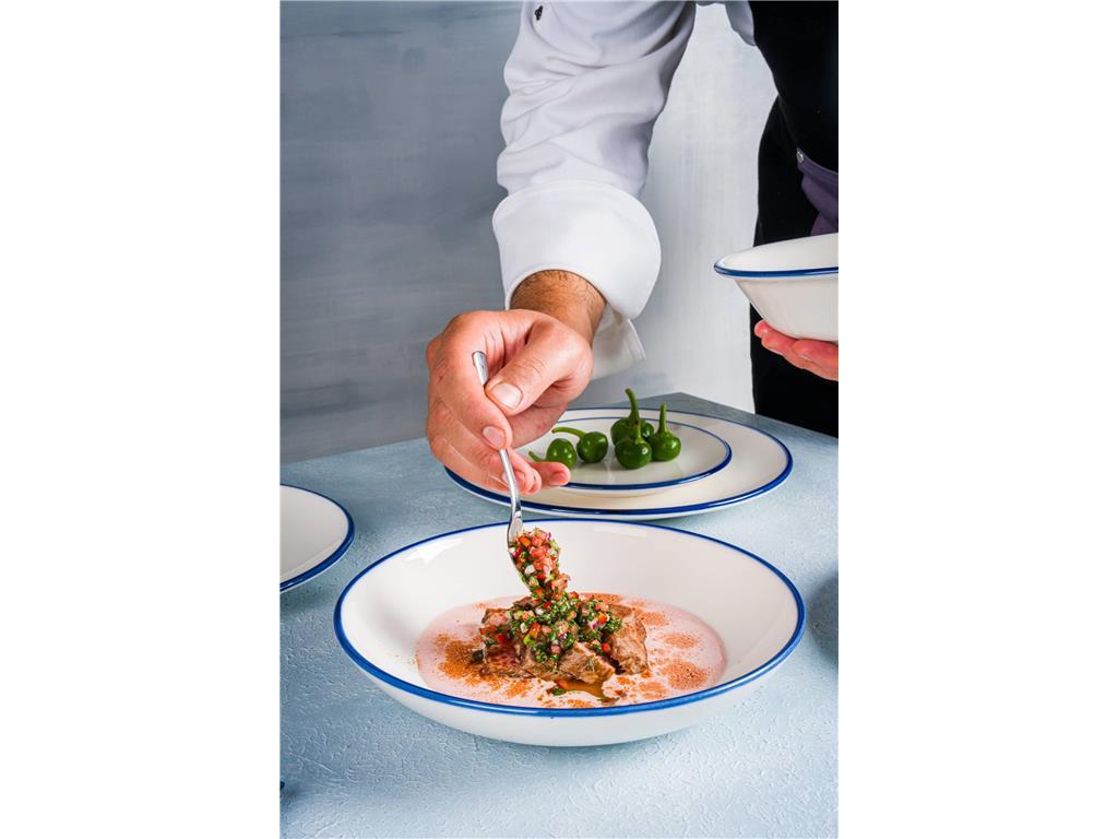 Linea Blue Teller Gourmet / 27cm / 12St