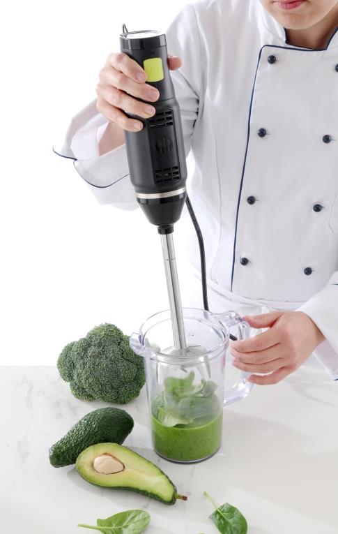 Stabmixer Concept Line / 250W / 44cm