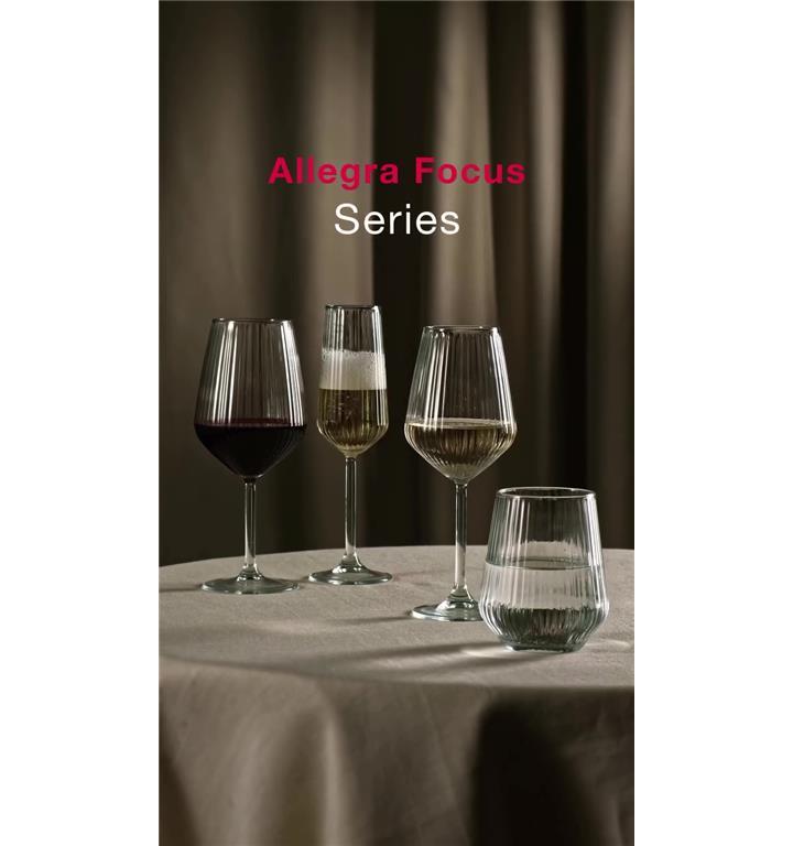 Allegra Focus LB / 43cl / 6Stk.